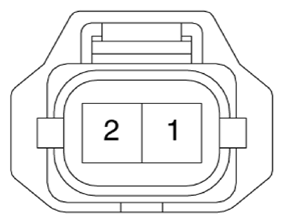 G13307179