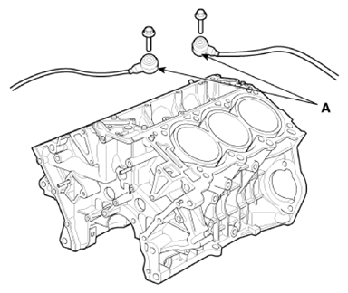 G13309494