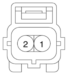 G13310091