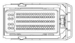 G13342497