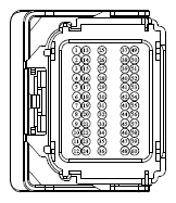 G13342506