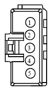G13342528