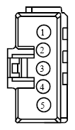 G13342529