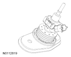 G13343542