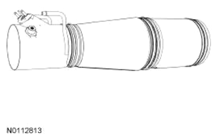 G13343548