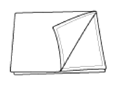 G13348669