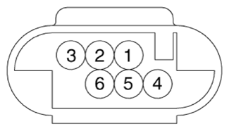G13348731