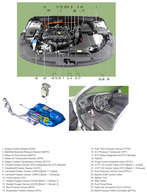 G13361659