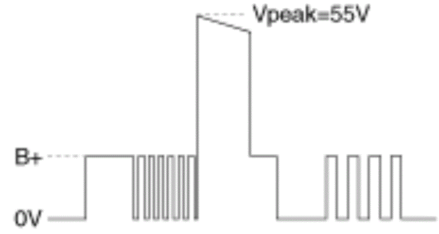 G13361676