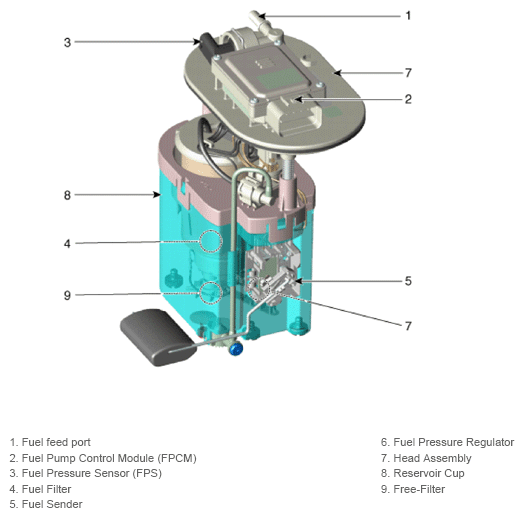 G13361792