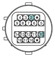 G13361972