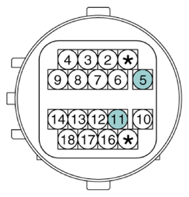 G13362010