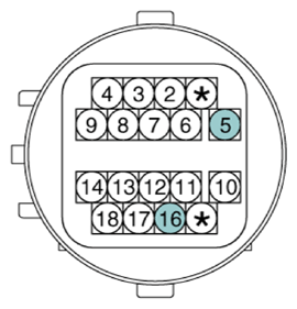 G13362028