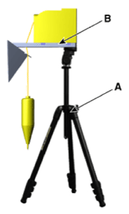 G13387815