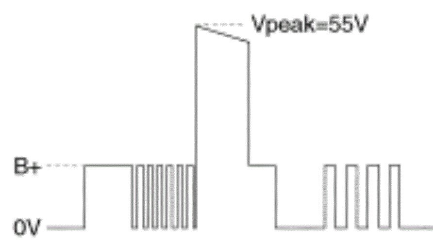 G13388033