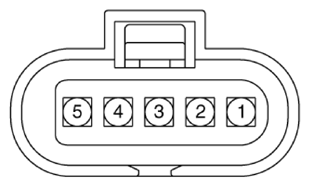 G13388052