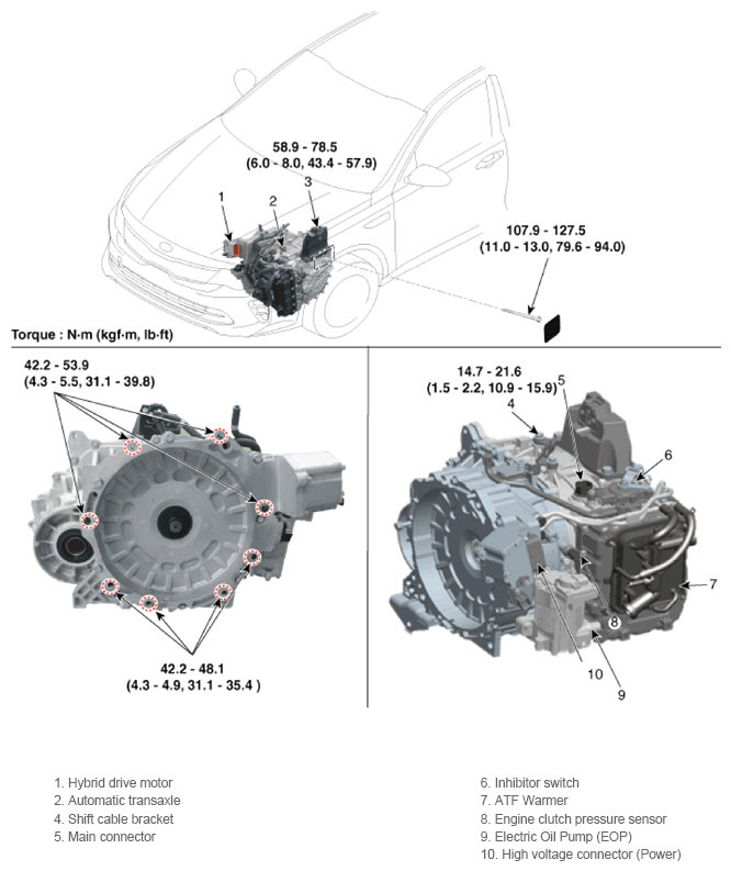 G13388507