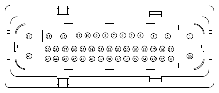 G13402598