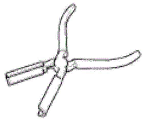 G13402695