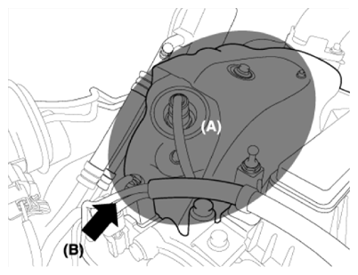 G13423591