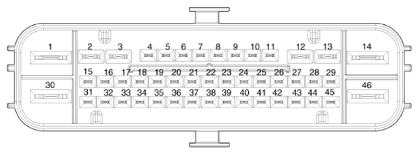 G13425055