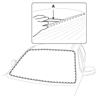 G13425824