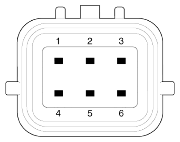 G13428308