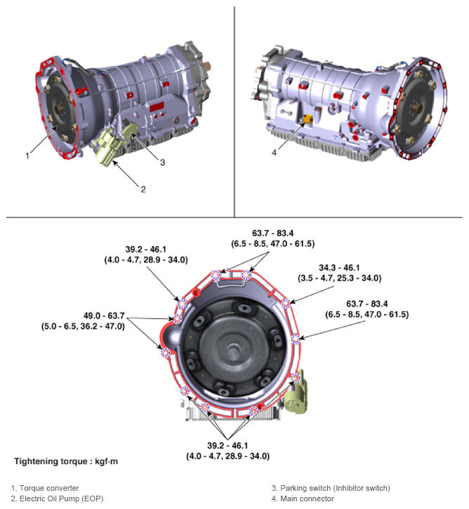 G13428463
