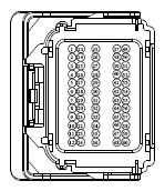 G13433331