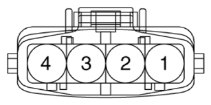 G13436561