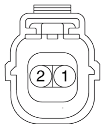 G13436565