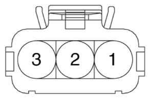 G13436598