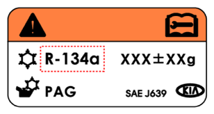 G13479998