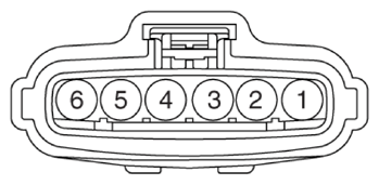 G13480604