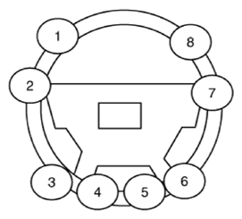 G13481448