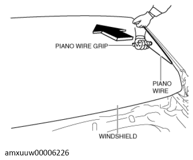 G13490653
