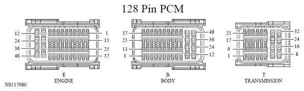 G13533364