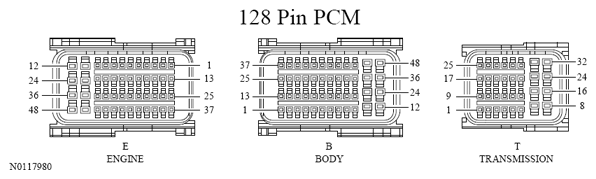 G13533413