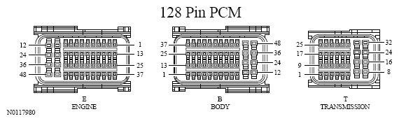 G13533458
