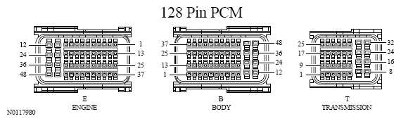 G13533507
