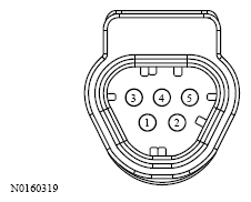 G13533616