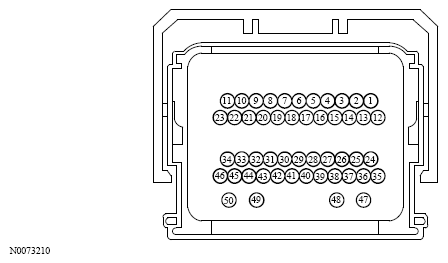 G13533618