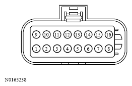 G13533648