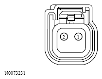 G13533649