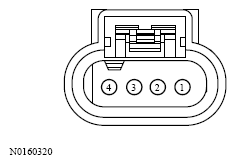 G13533651