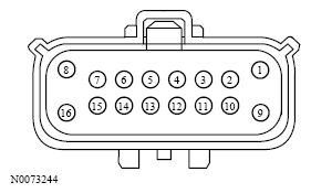 G13533652