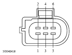 G13533666