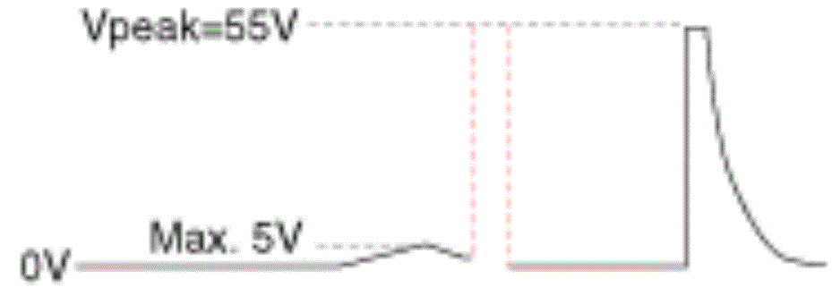 G13539324