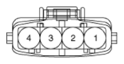 G13539351