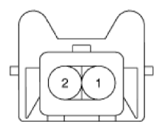 G13539466